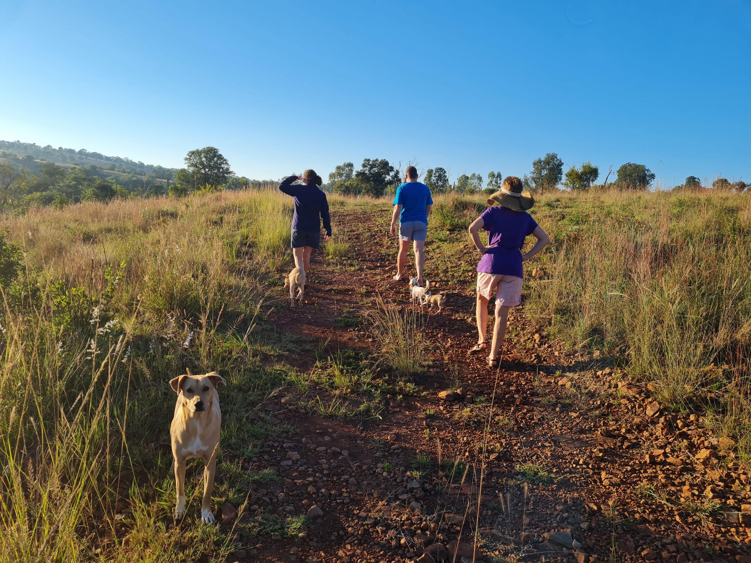 hiking-trail