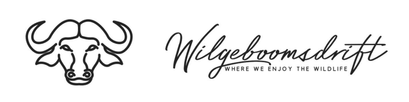 Wilgeboomsdrift Safaris